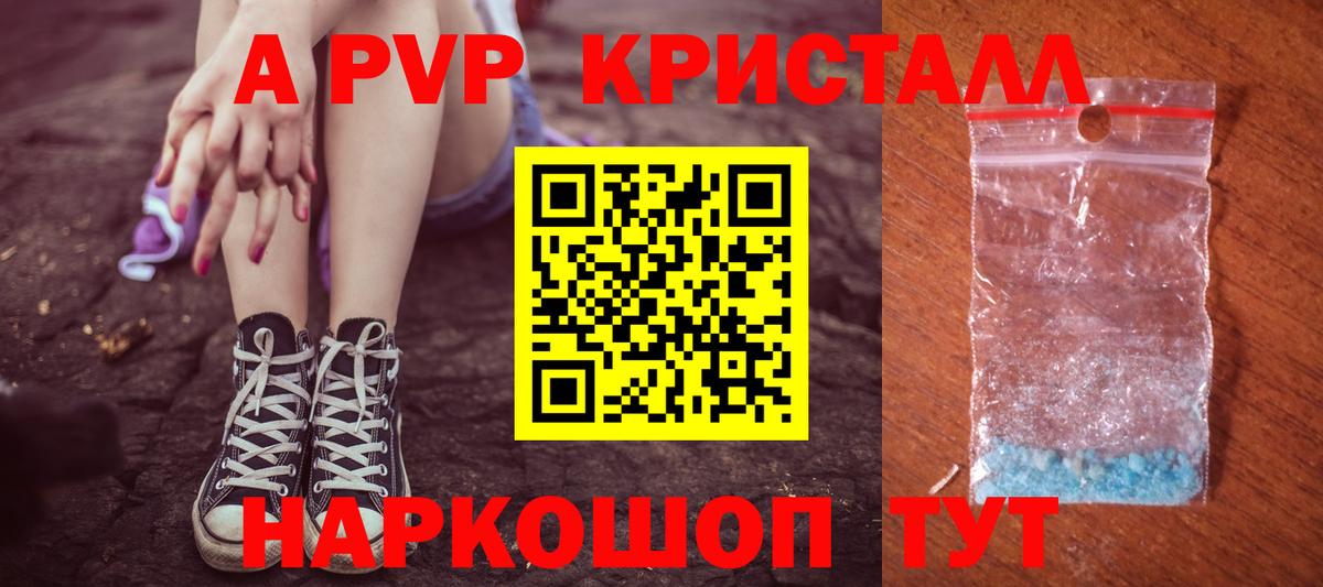 A PVP СК КРИС Петрозаводск