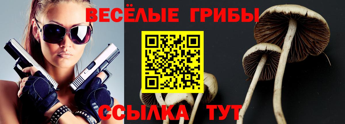 Петрозаводск  Галлюциногенные грибы прущие грибы  Вход с VPN 